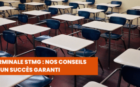 La terminale STMG nos conseils pour un succès garanti