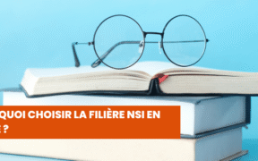 Pourquoi choisir la filière Numérique et Sciences Informatiques en Lycée